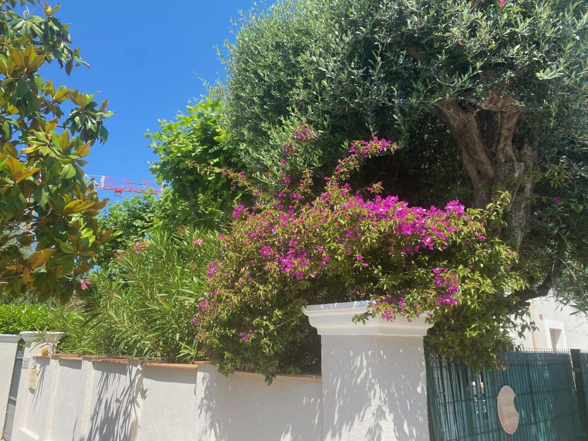 Arche De Portissol Sanary Appartement De Charme 4 A 6 Personnes Екстериор снимка